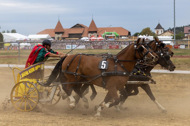 背后凝聚了 背后凝聚了