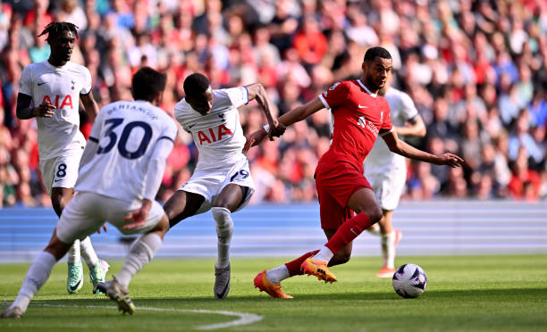 顽强的拼搏 顽强的拼搏